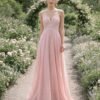 Pink Wedding Dress Regencycore Lace