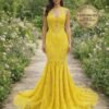 Prom Dress 2026 Regencycore Lace