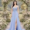 Blue Prom Dress  3D Floral Applique